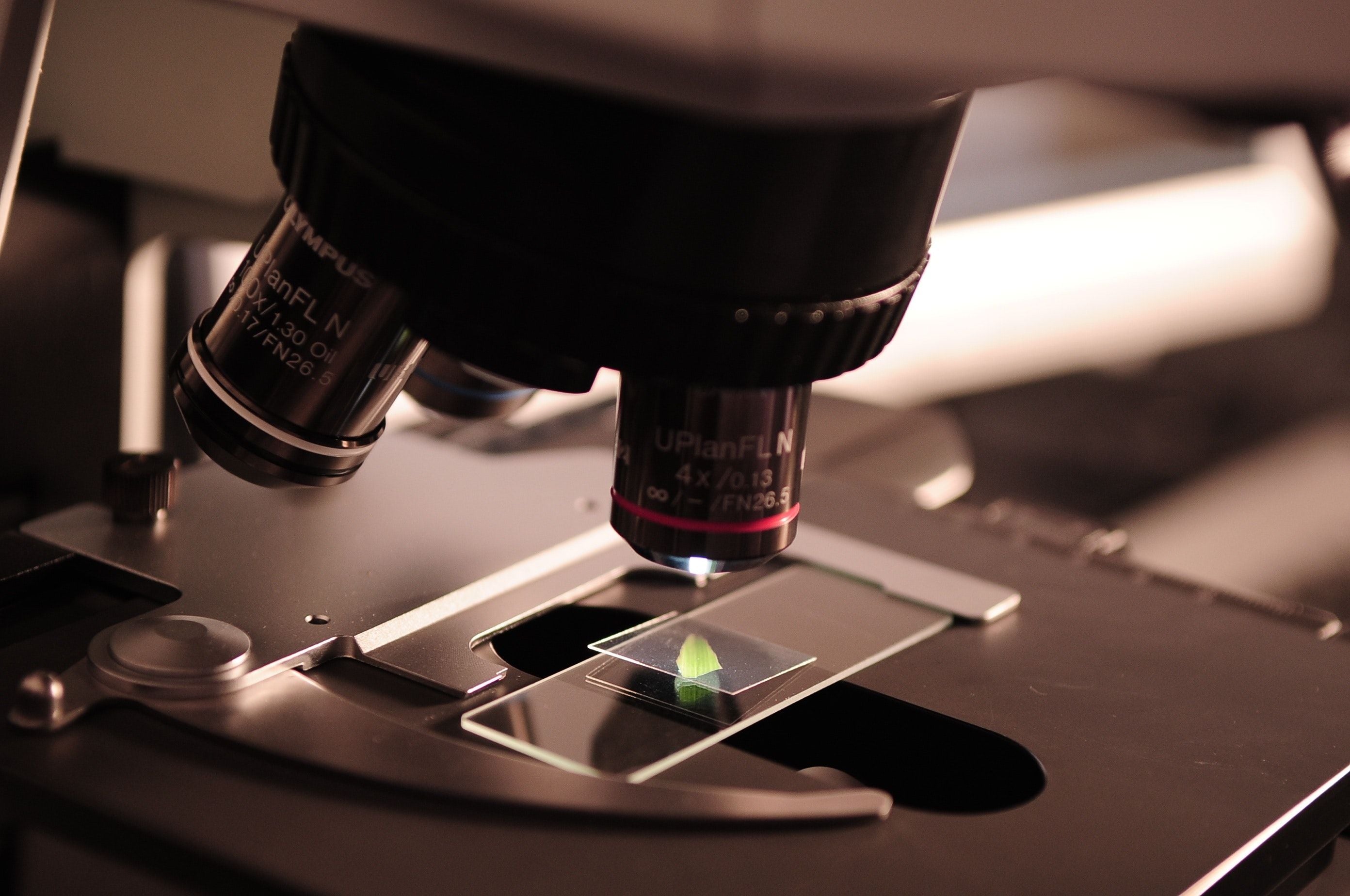 A microscope focused on a slide
