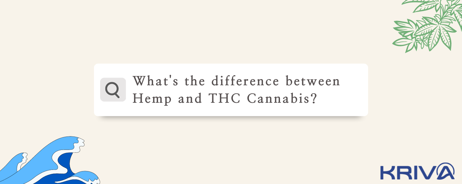 What's the difference between Hemp and THC Cannabis?